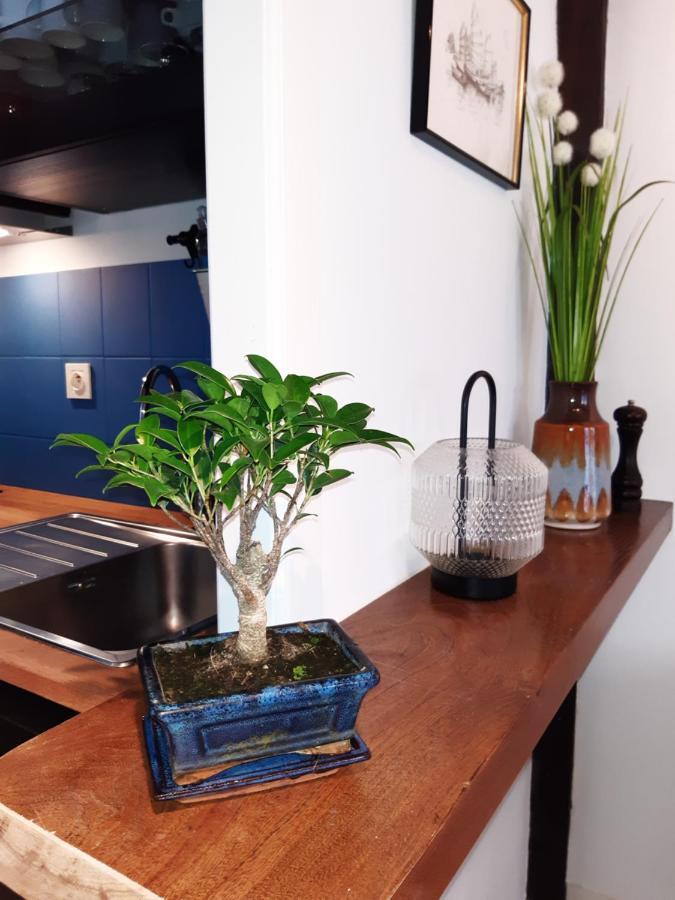 Appartement Haute Ville meublé avec cour privative Granville Esterno foto